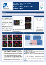 (0.8 MB PDF) Poster