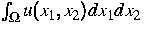 $\int_\Omega u(x_1,x_2) dx_1 dx_2 \quad$