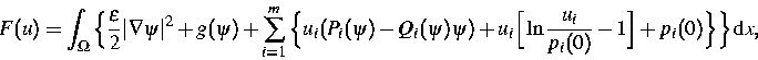 \begin{displaymath}
F(u)=
\int_\Omega\Big\{\frac{\varepsilon}{2}\vert\nabla\psi\...
 ...Big[\ln\frac{u_i}{p_i(0)}-1\Big]+p_i(0)\Big\}
\Big\}\,\text dx,\end{displaymath}