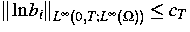 $\Vert\ln{b_i}\Vert _{L^\infty(0,T;L^\infty(\Omega))}\le c_T$