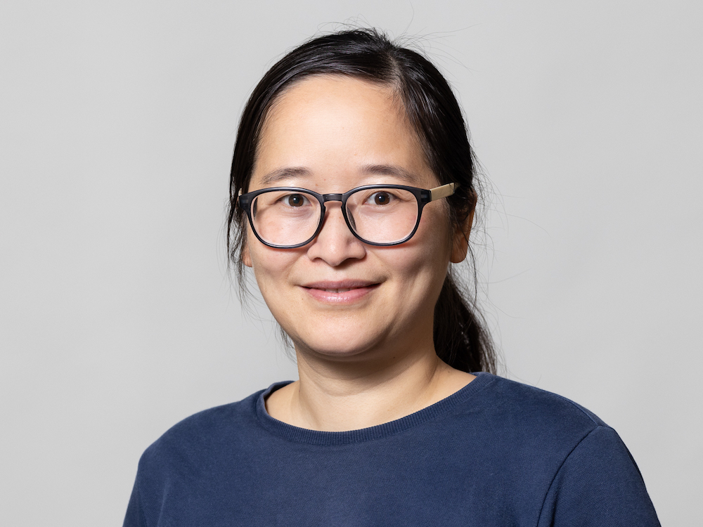 Fei Zhu