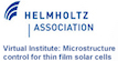 Helmholtz Virtual Institute 