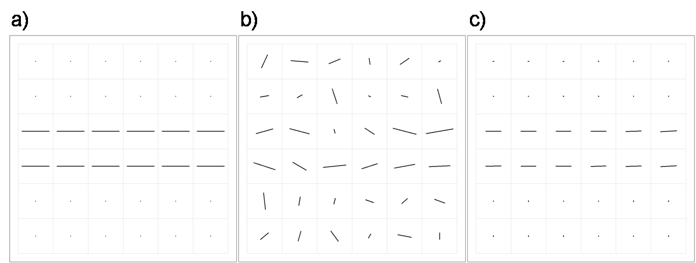 Noisy Vector Field