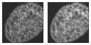 Microbiological images