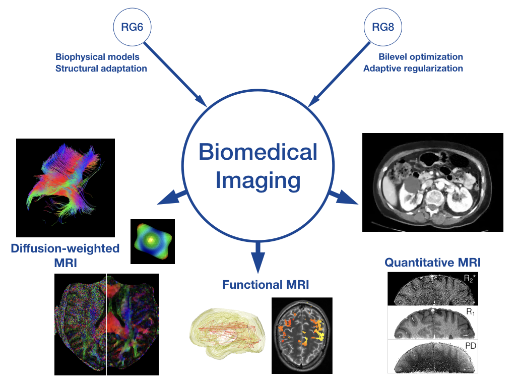 Biomedical imaging