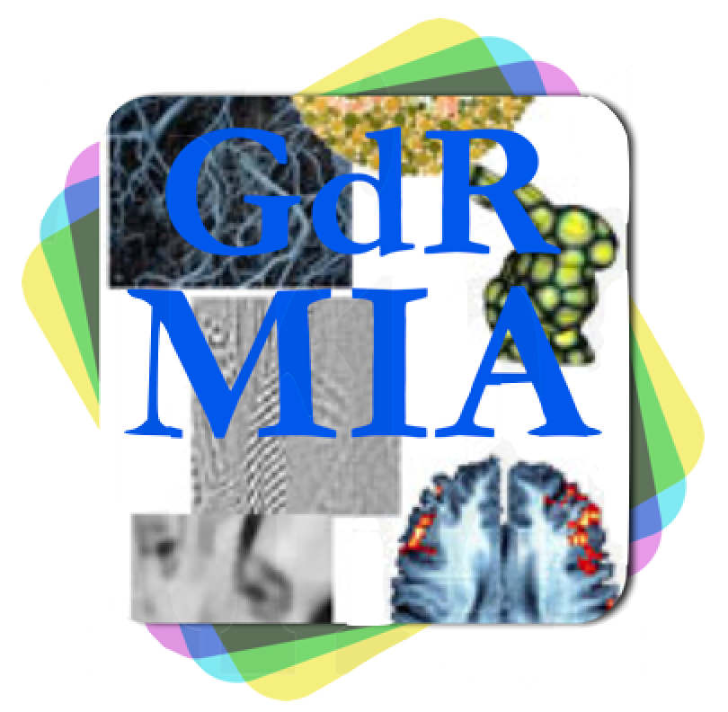 MIA Logo