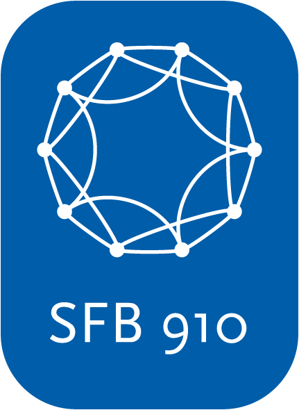 SFB910 Logo