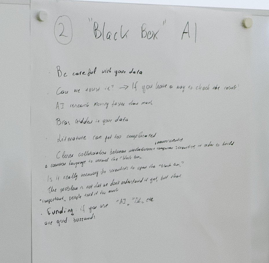 notes-Black_Box_AI