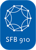 SFB 910