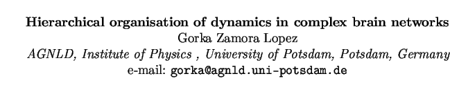 $\textstyle \parbox{15cm}{
\begin{center}
{\bf Hierarchical organisation of dyna...
...sdam, Germany}
\par
e-mail: {\tt gorka@agnld.uni-potsdam.de}
\par
\end{center}}$